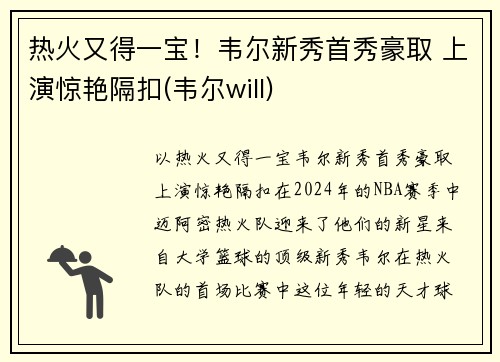 热火又得一宝！韦尔新秀首秀豪取 上演惊艳隔扣(韦尔will)